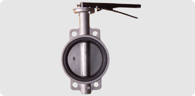 Throttle Valve Assembly